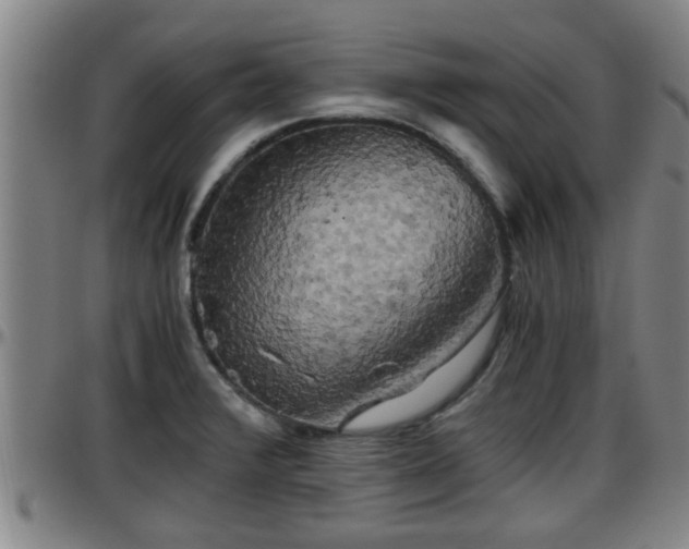 X0000096401376200801311341