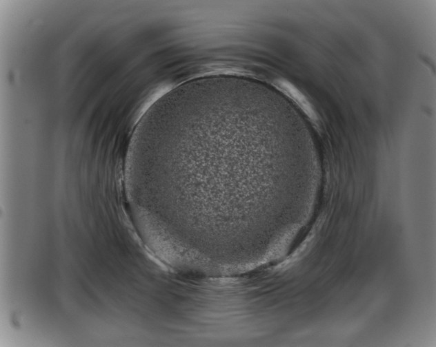 X0000096401377200801311341