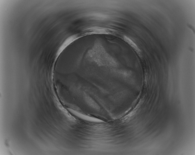 X0000096401378200801311341