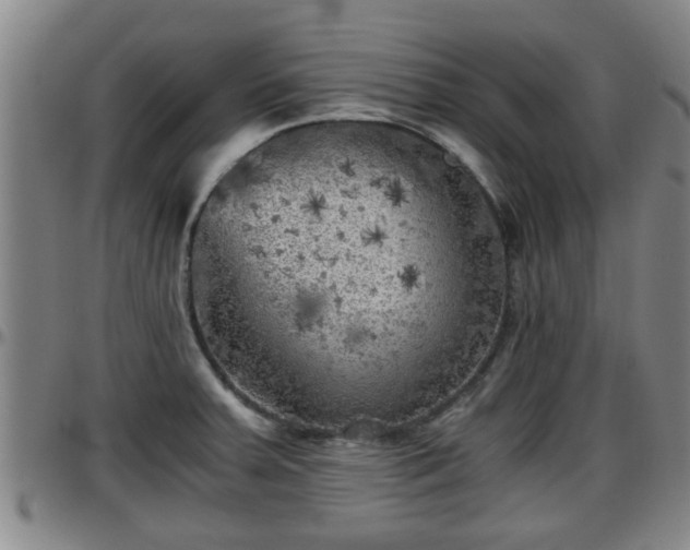 X0000096401379200801311341
