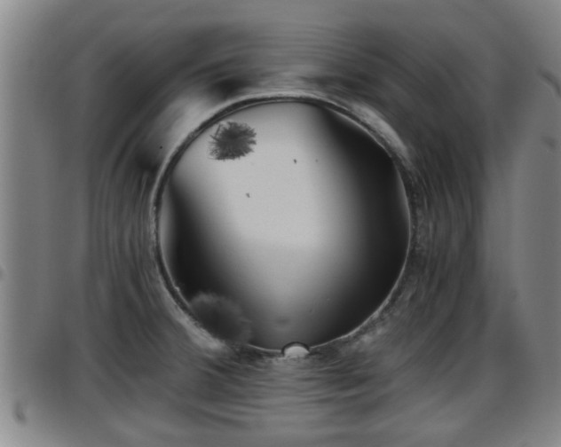 X0000096401380200801311341