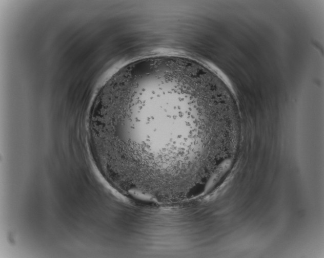 X0000096401381200801311341