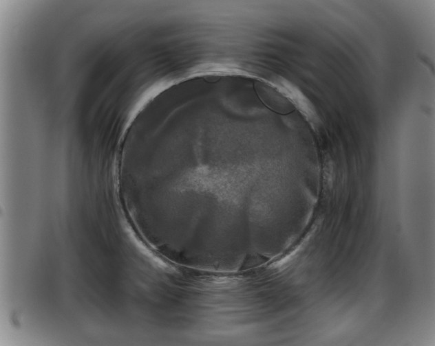 X0000096401382200801311341