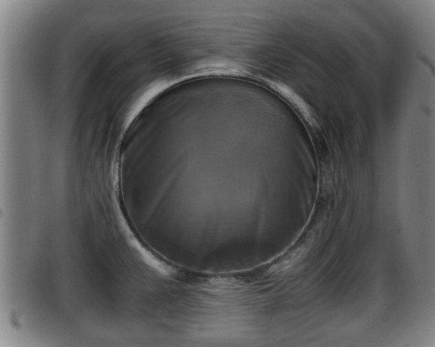 X0000096401383200801311341