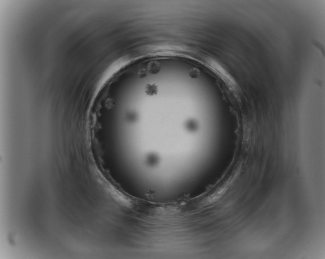 X0000096401384200801311341