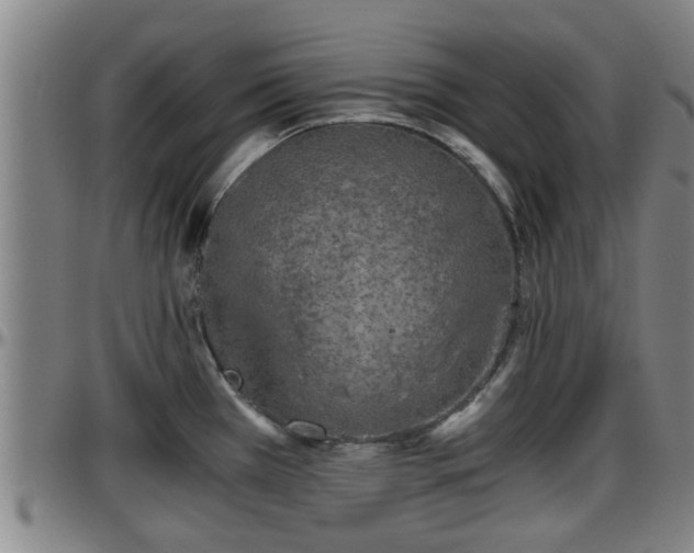 X0000096401385200801311341