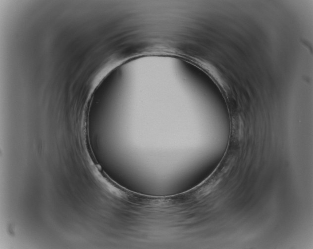 X0000096401387200801311341