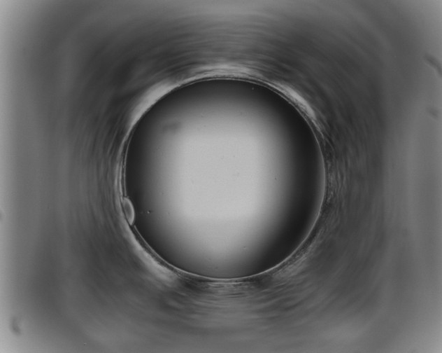 X0000096401391200801311341