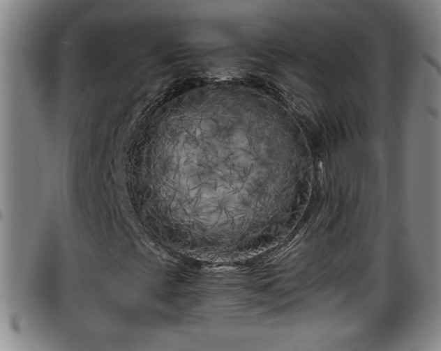 X0000096401393200801311340