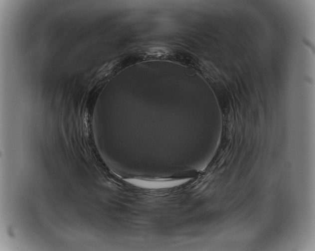 X0000096401394200801311340