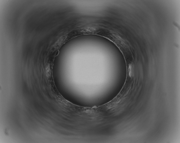 X0000096401395200801311340