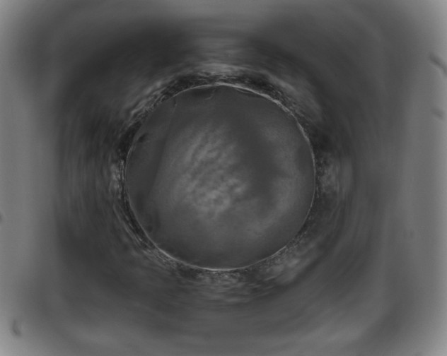 X0000096401397200801311340