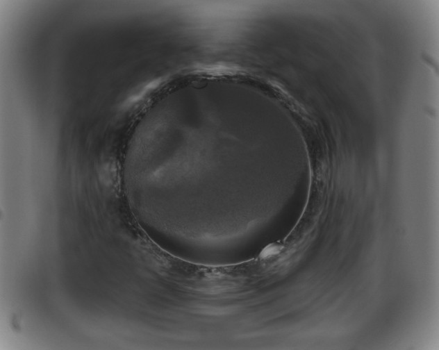 X0000096401398200801311340