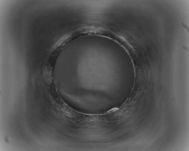 X0000096401399200801311340