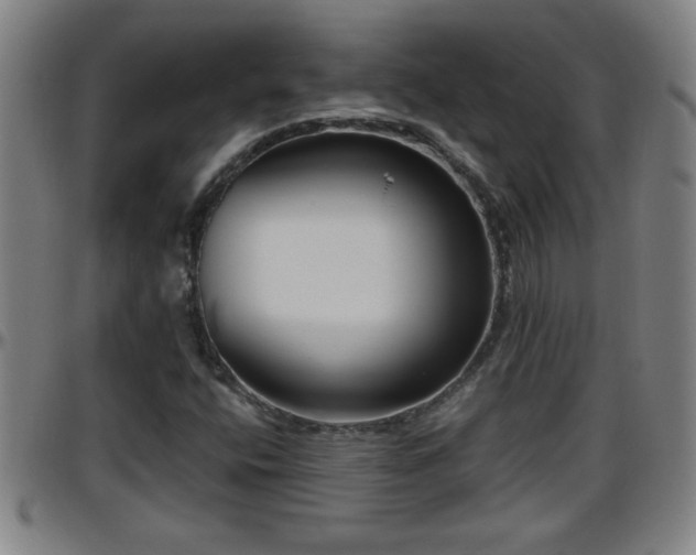 X0000096401400200801311340