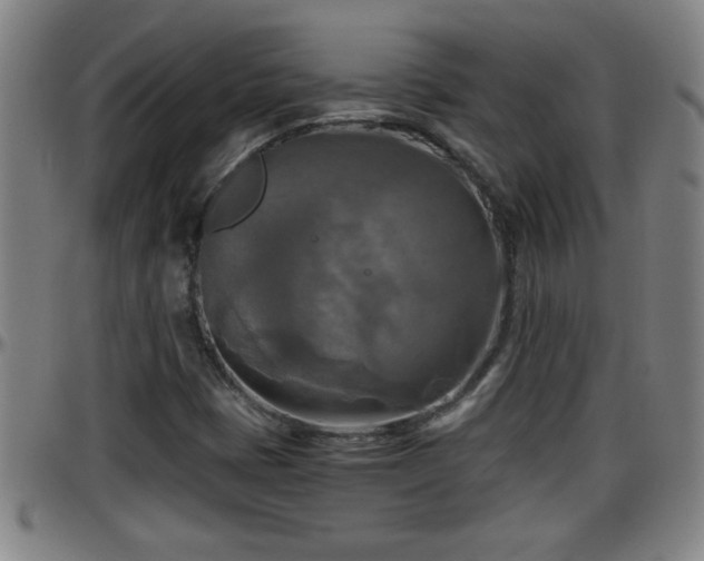 X0000096401401200801311340