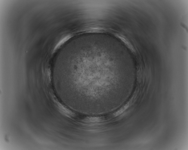 X0000096401402200801311340