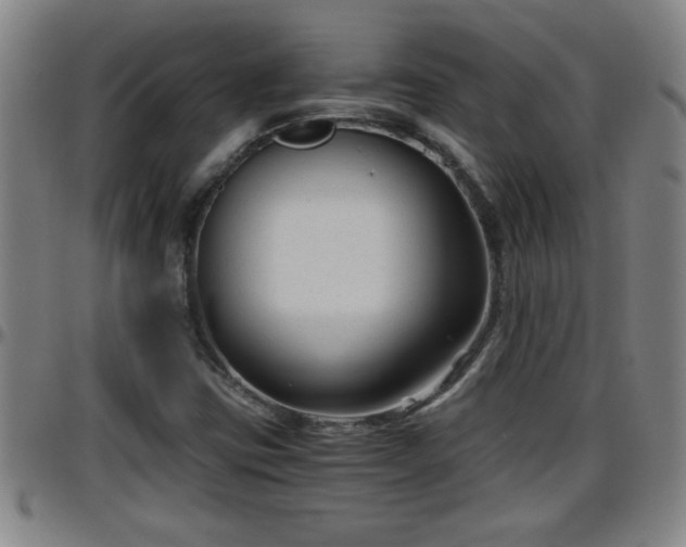 X0000096401403200801311340