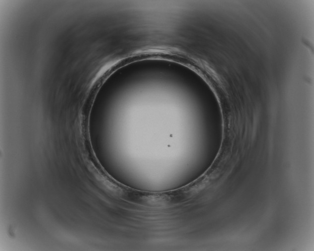 X0000096401404200801311340