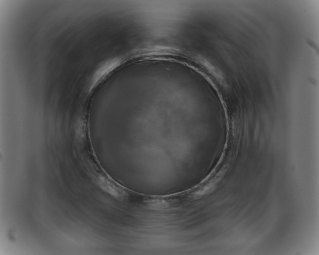 X0000096401405200801311340