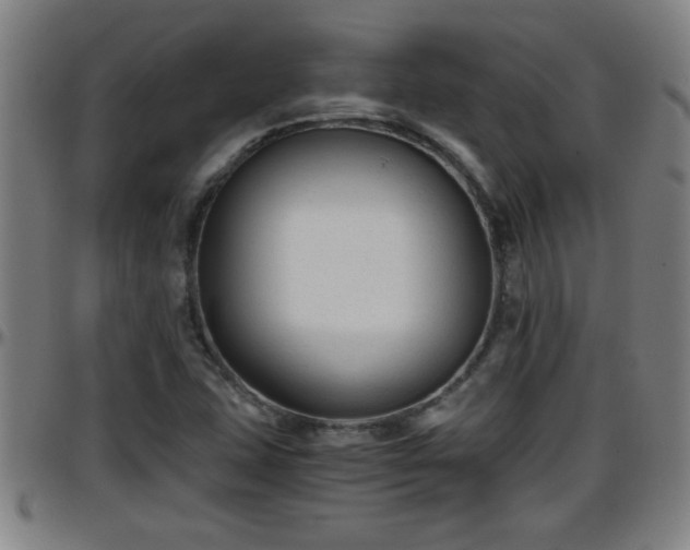 X0000096401407200801311340