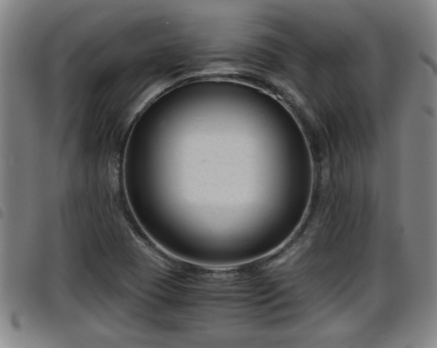 X0000096401409200801311340