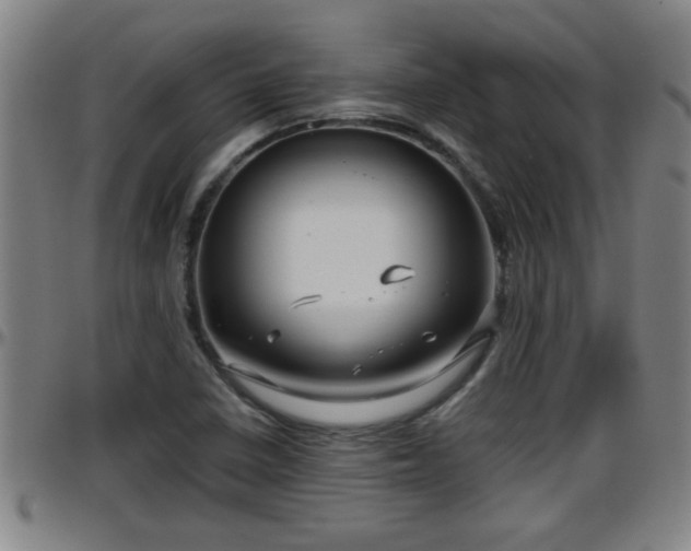 X0000096401410200801311340