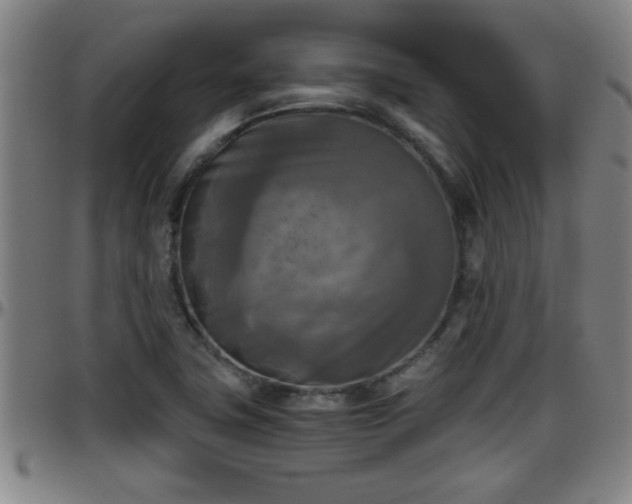 X0000096401411200801311340