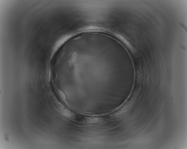 X0000096401413200801311340