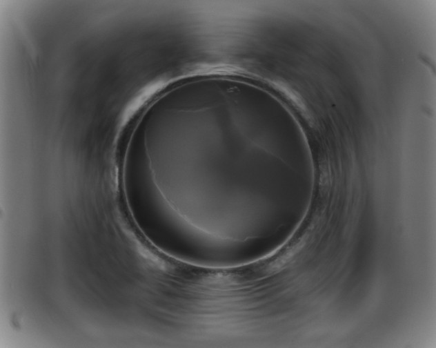 X0000096401414200801311340