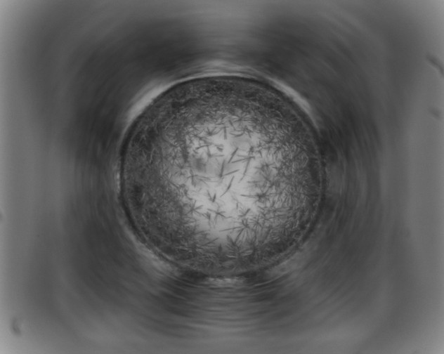 X0000096401415200801311340