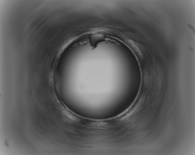 X0000096401417200801311340