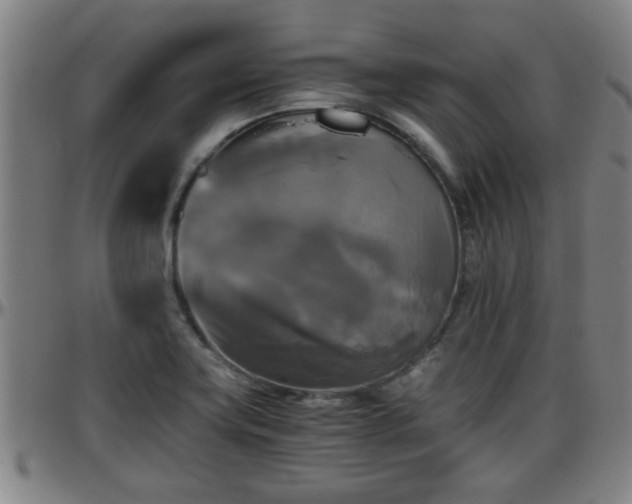 X0000096401419200801311341