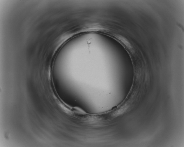 X0000096401420200801311341