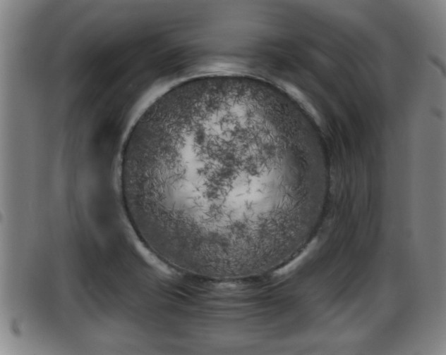 X0000096401421200801311341