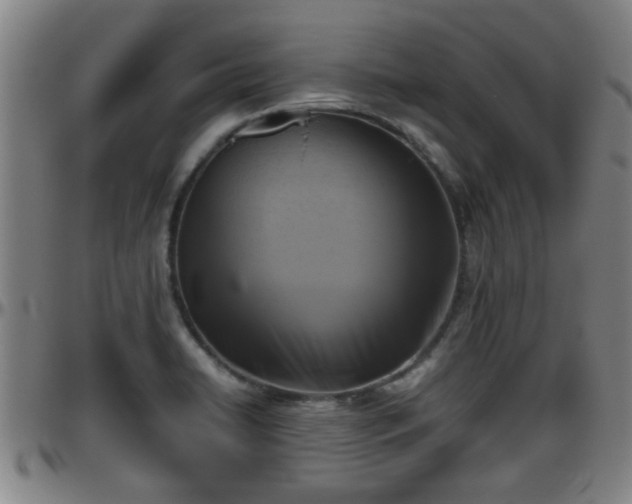 X0000096401422200801311341