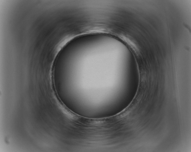 X0000096401423200801311341