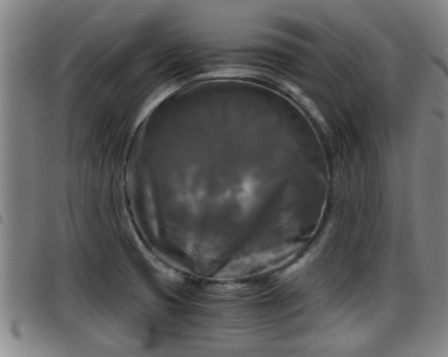 X0000096401425200801311341