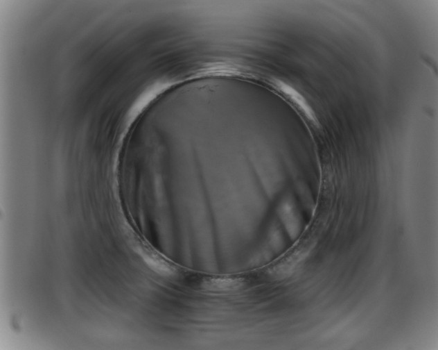 X0000096401427200801311341