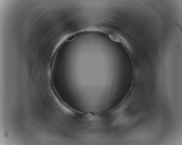 X0000096401428200801311341