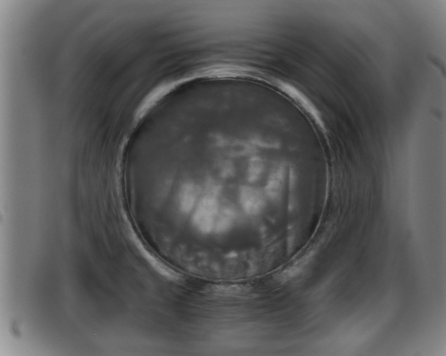 X0000096401429200801311341