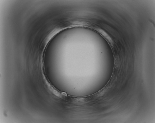 X0000096401431200801311341