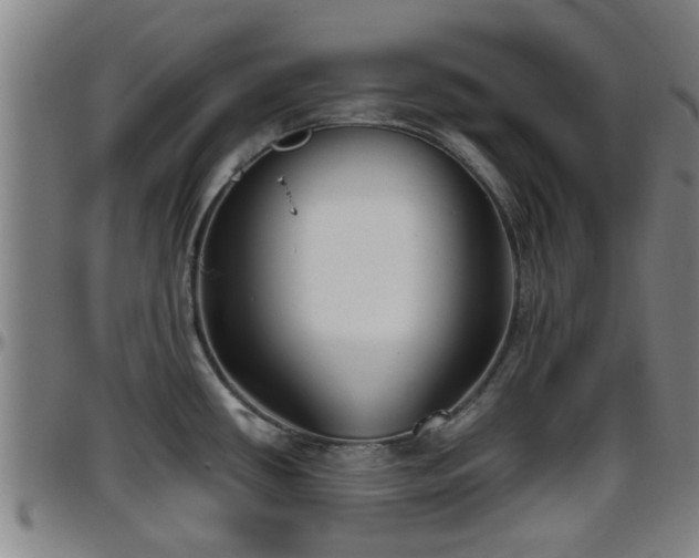 X0000096401434200801311341