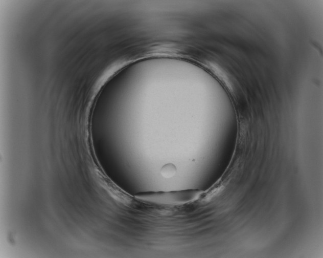 X0000096401435200801311341