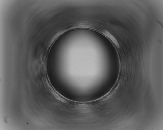 X0000096401436200801311341