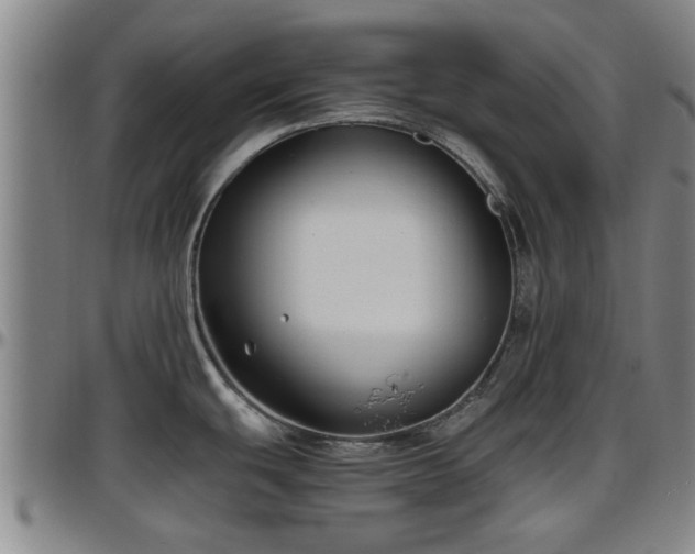 X0000096401439200801311341