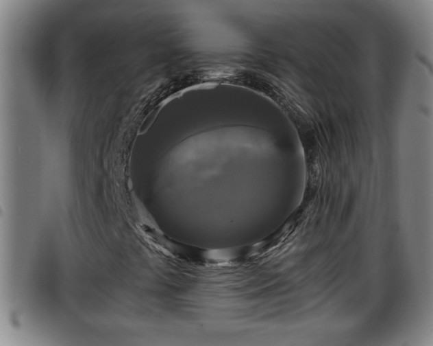 X0000096401441200801311340