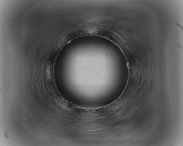 X0000096401442200801311340