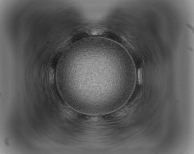 X0000096401443200801311340