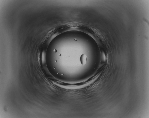 X0000096401444200801311340